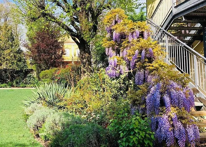 Nabila فندق ريجّولو